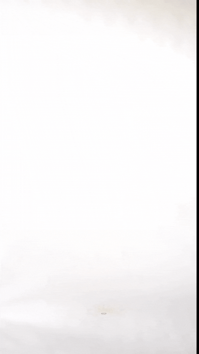 Modelka w Biustonoszu Perilla – transparentny tiul i czarny kwiat